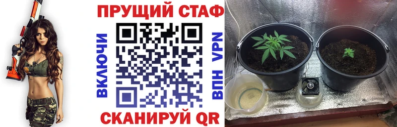 Купить закладку ГАШИШ  Каннабис  Мефедрон  Новое Девяткино