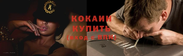 твердый Каменка