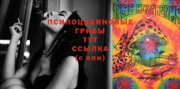 твердый Каменка